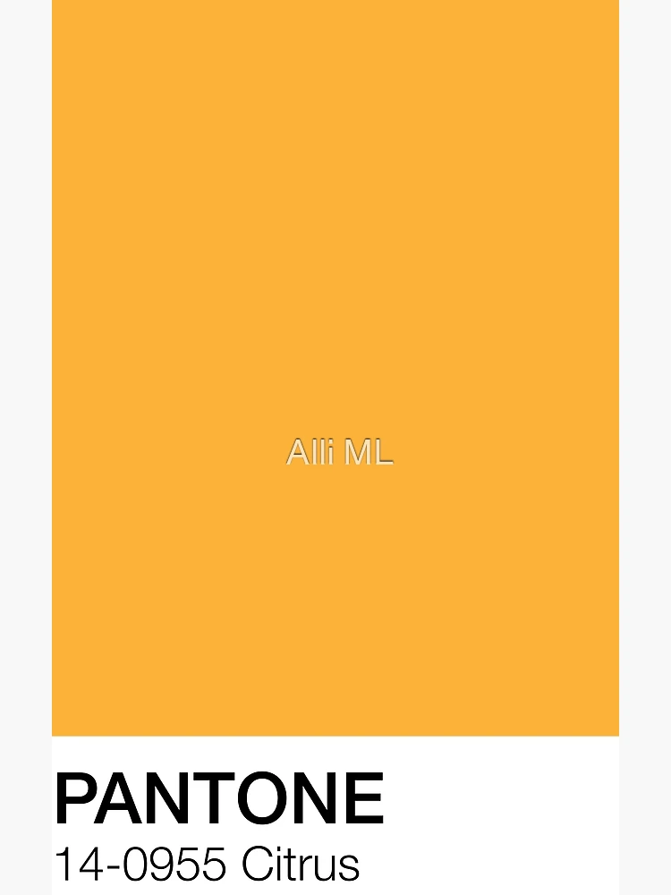 Citrus Pantone Shade | Poster