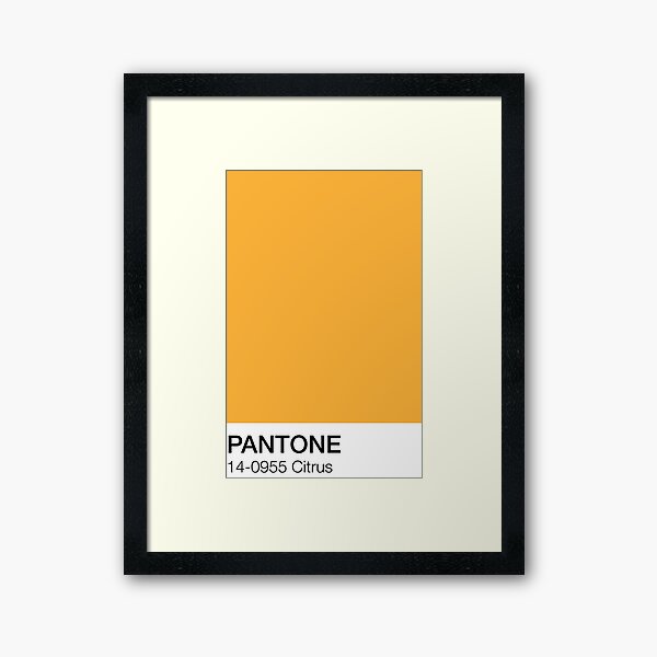 Citrus Pantone Shade  Framed Art Print