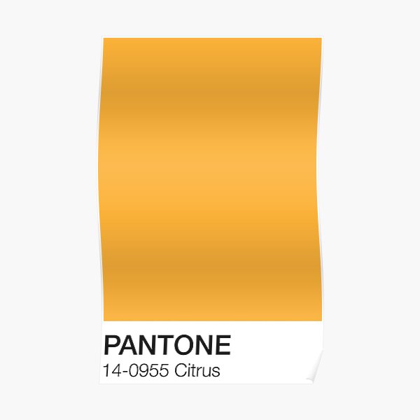 Citrus Pantone Shade  Poster