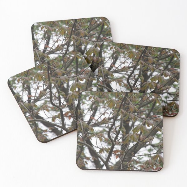 Item preview, Web of Leaves designed and sold by MissLADYbugsy.
