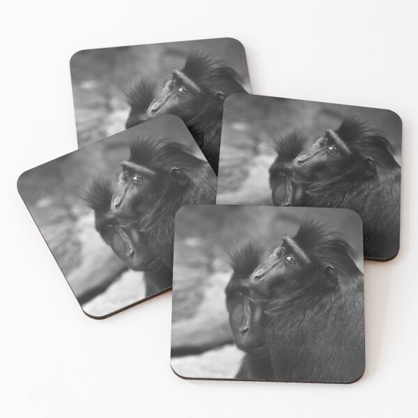 Item preview, Two Monkeys designed and sold by estesphoto.