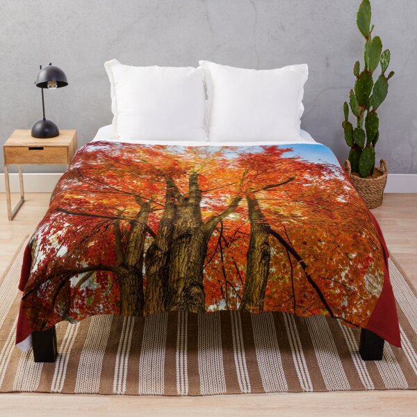 Item preview, New England fall colors designed and sold by LudaNayvelt.
