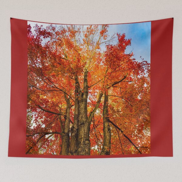 Item preview,  New England fall  colors  designed and sold by LudaNayvelt.