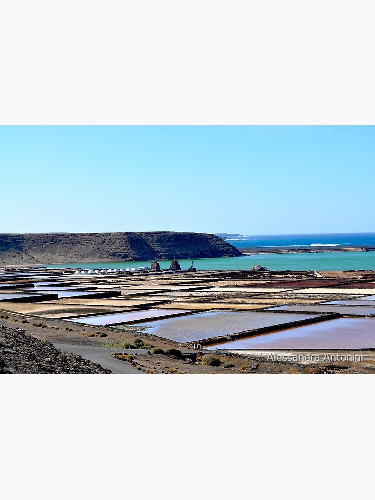 Thumbnail 3 of 3, Canvas Print, Morning on the salt flats of Janubio Lanzarote Canary Island designed and sold by alexcorse.