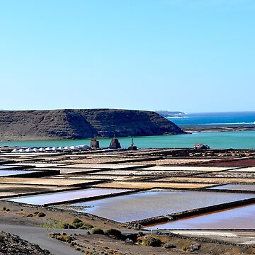 Artwork thumbnail, Morning on the salt flats of Janubio Lanzarote Canary Island by Alessandra Antonini