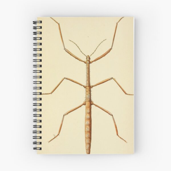 Item preview, Naturalist Stick Insect designed and sold by BlueSpecsStudio.
