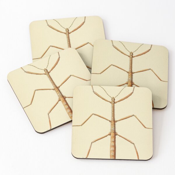 Item preview, Naturalist Stick Insect designed and sold by BlueSpecsStudio.