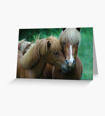 Companionship Greeting Card