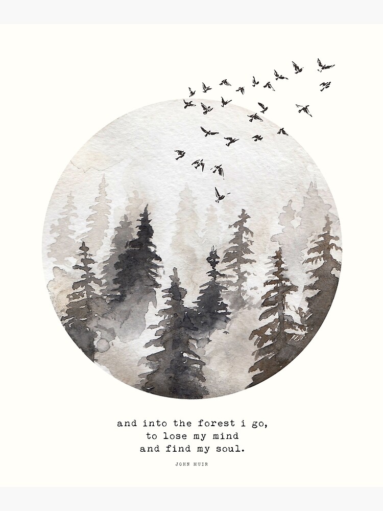 Into The Forest I Go by wolfandbird