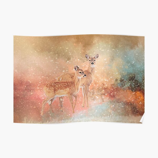 White tails in the Snow Poster