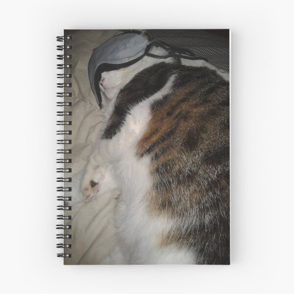Item preview, Mittins asleep designed and sold by sharon Wingard.