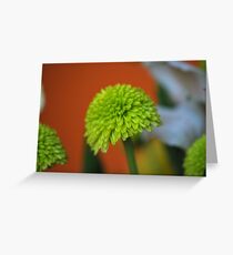 NOTHING Greeting Card