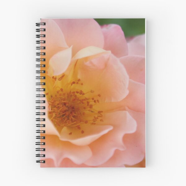 Item preview, Powder Pink Colored Rose designed and sold by taiche.
