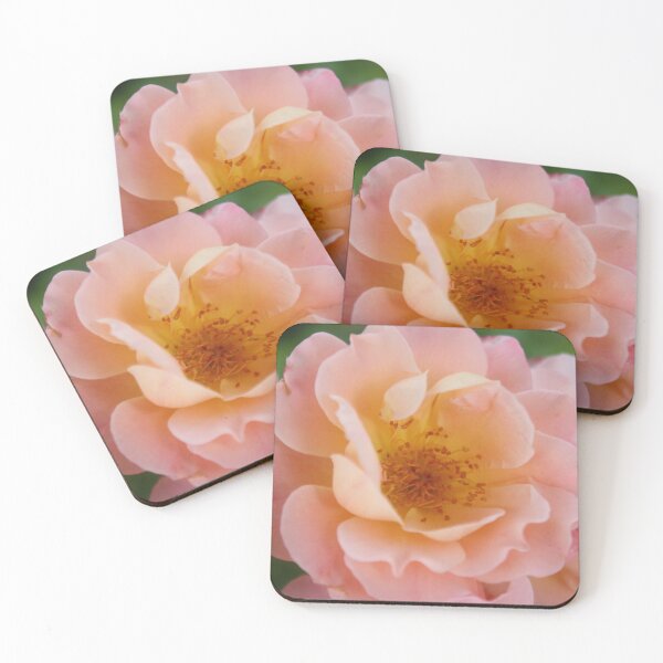 Item preview, Powder Pink Colored Rose designed and sold by taiche.