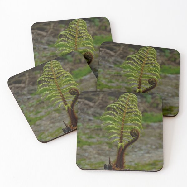 Item preview, The Tree Fern designed and sold by PictureNZ.