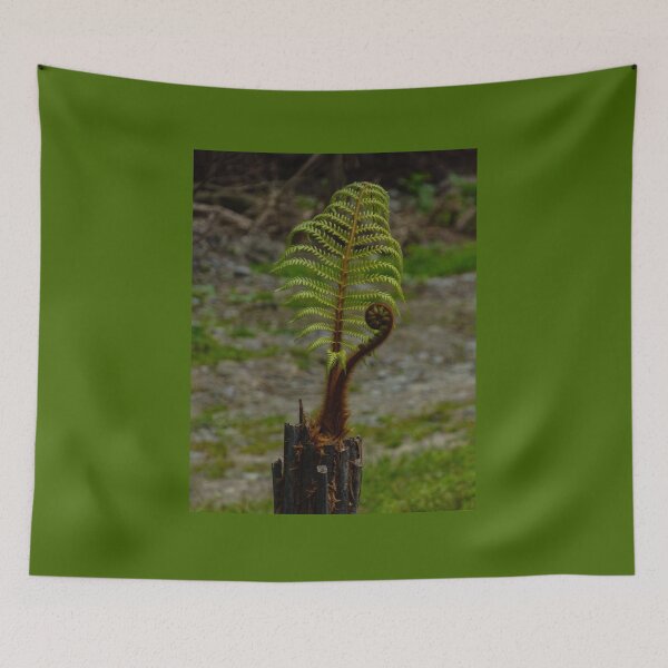 Item preview, The Tree Fern designed and sold by PictureNZ.