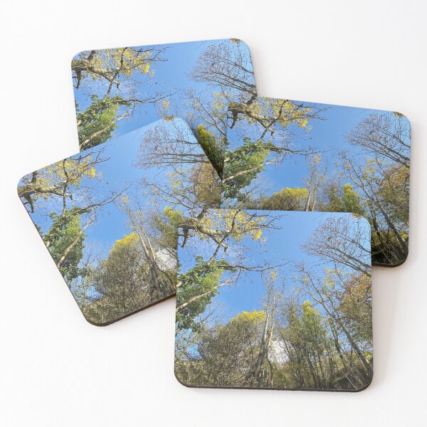 Item preview, forest sky designed and sold by AHELENE.