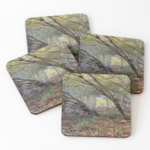 Item preview, Undergrowth in autumn designed and sold by AHELENE.