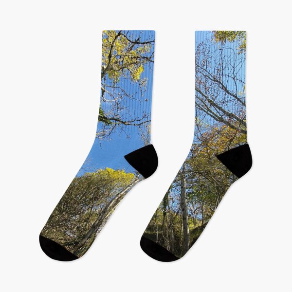 Item preview, forest sky designed and sold by AHELENE.