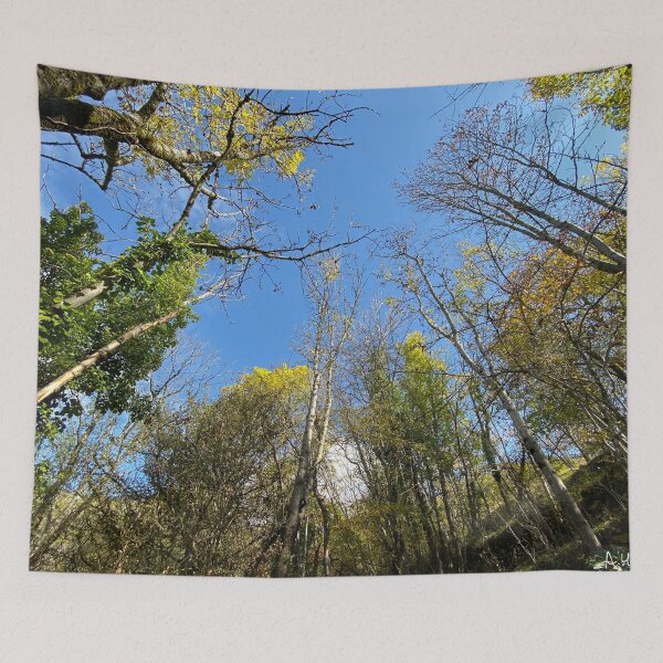 Item preview, forest sky designed and sold by AHELENE.