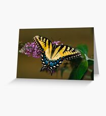 Tiger Swallowtail Greeting Card