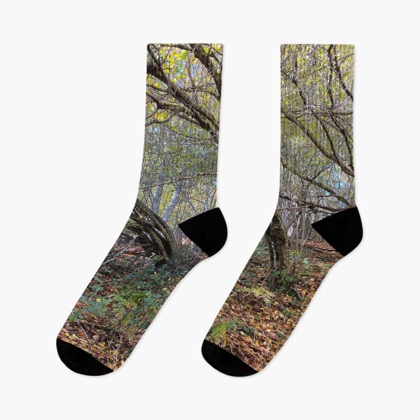 Item preview, Undergrowth in autumn designed and sold by AHELENE.