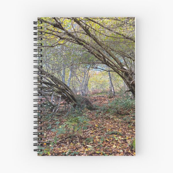 Item preview, Undergrowth in autumn designed and sold by AHELENE.