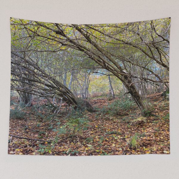 Item preview, Undergrowth in autumn designed and sold by AHELENE.
