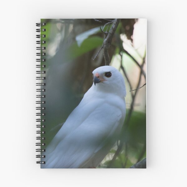Item preview, The Messenger designed and sold by byronbackyard.