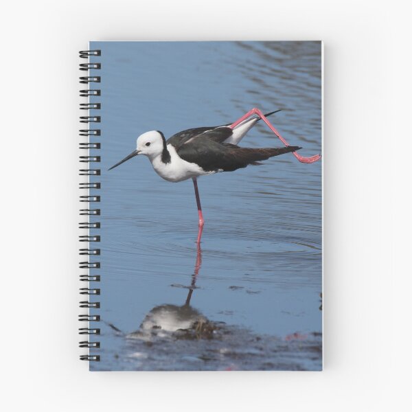 Item preview, Stilt Ballet designed and sold by byronbackyard.