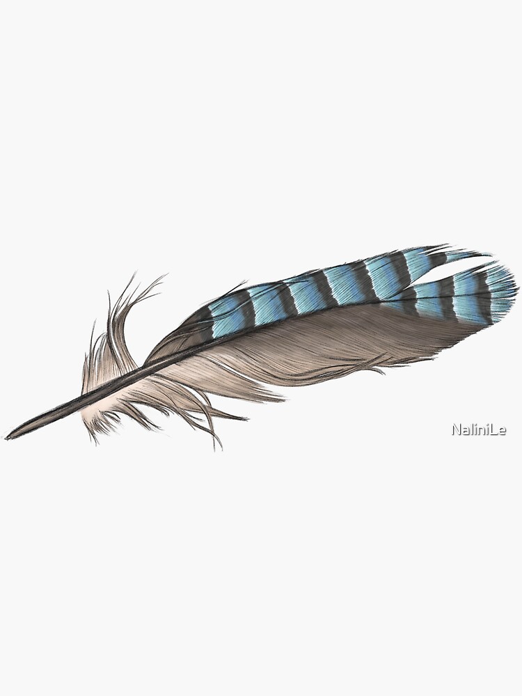 Garrulus Jay Bird Feather Illustration by NaliniLe