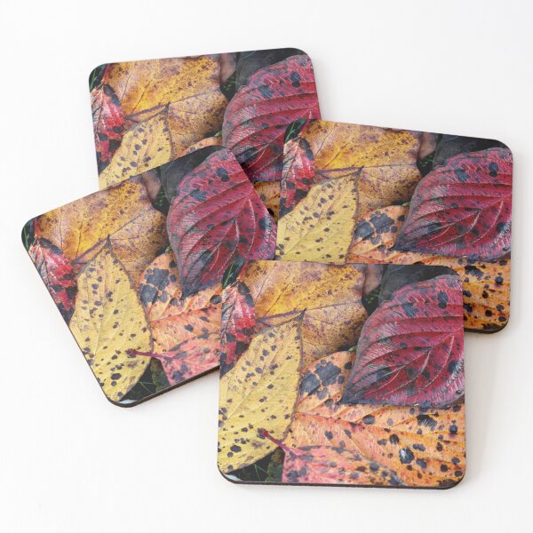 Item preview, Cornus Colors designed and sold by cuprum.