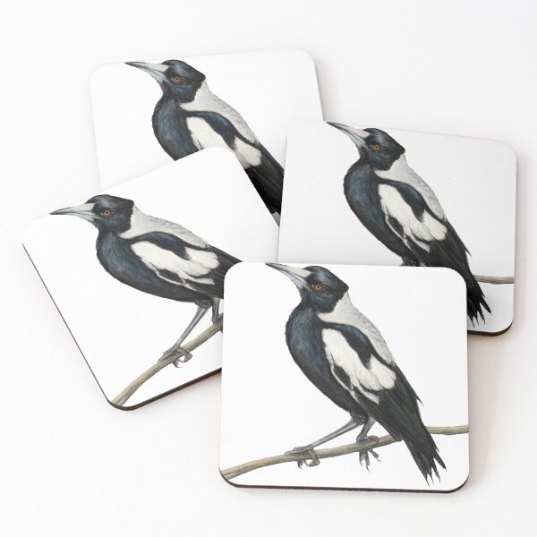 Item preview, Magpie art 2 no signature white background version, Australian Magpie bird, bird art, drawing, Australiana, black and white designed and sold by RachaelCurryArt.