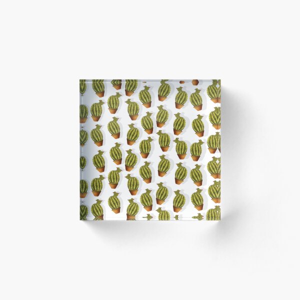 Mini cactus Bloque acrílico