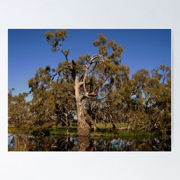Item preview, mount william creek designed and sold by fazza.
