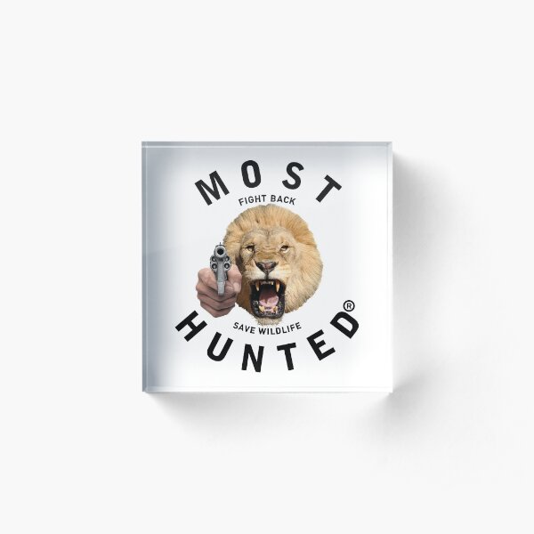MOST HUNTED REAL LION HEAD SAVE WILDLIFE Acrylic Block