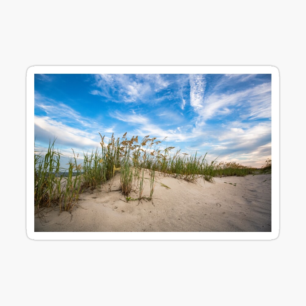 C Beach Boardwalk With Dunes And Sea Oats Art Print Home Decor Wall Art Poster