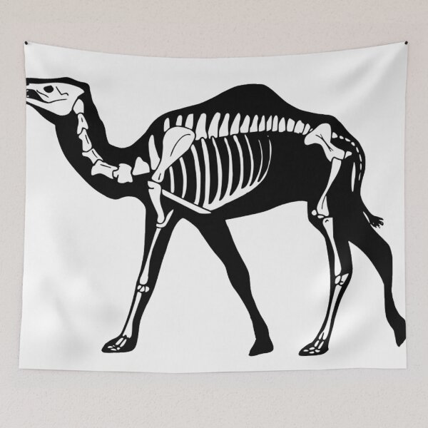 Item preview, Camel skeleton ink print designed and sold by Halex0Art.