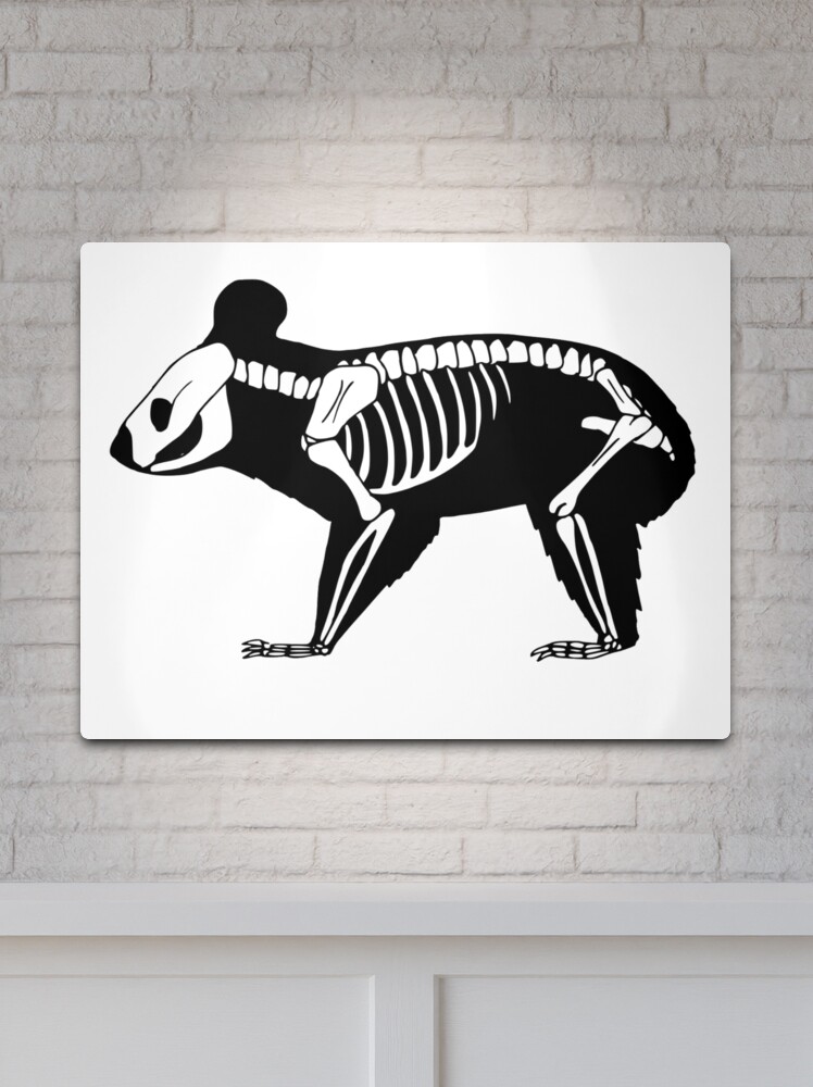 Ink Skull Print – Koala Art & Design