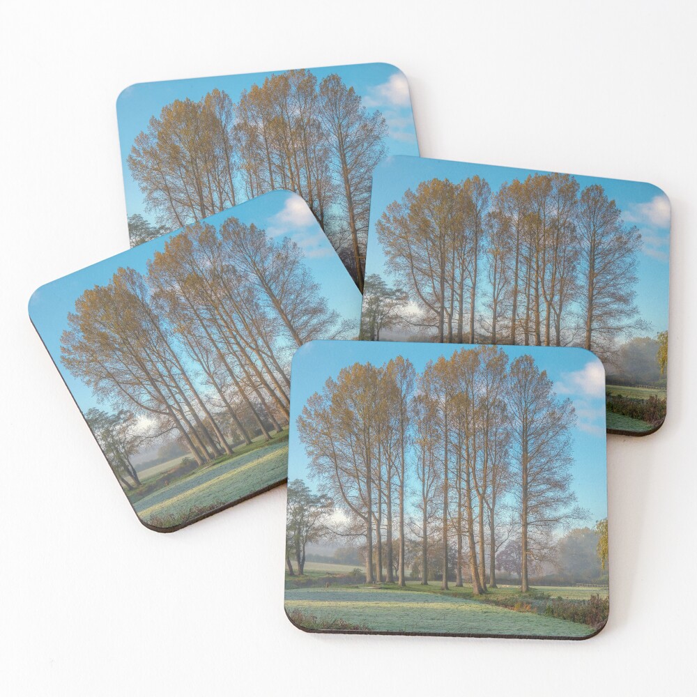 Item preview, Coasters (Set of 4) designed and sold by AlexJa.
