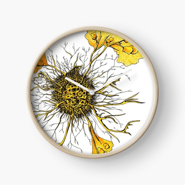 Slime Mold Clock