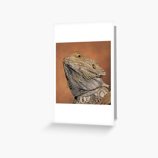 My best side............ Greeting Card