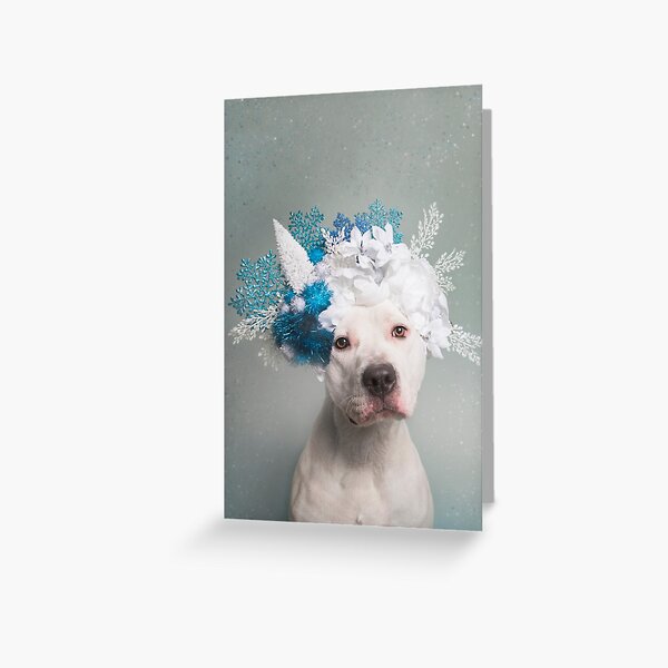 Flower Power, Polar Bear Greeting Card
