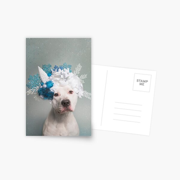 Flower Power, Polar Bear Postcard