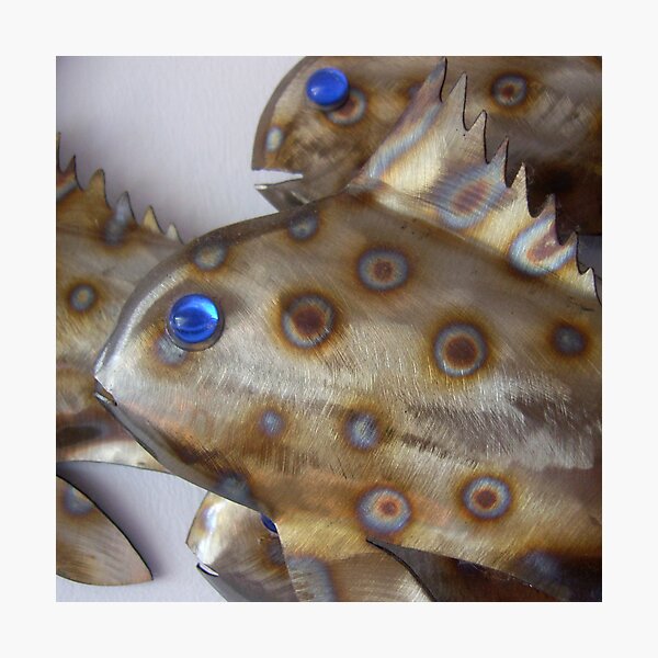Tinned Fish Photographic Print