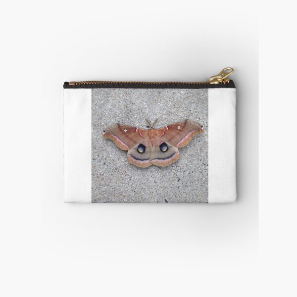 Item preview, Polyphemous Moth designed and sold by photosbyapril.
