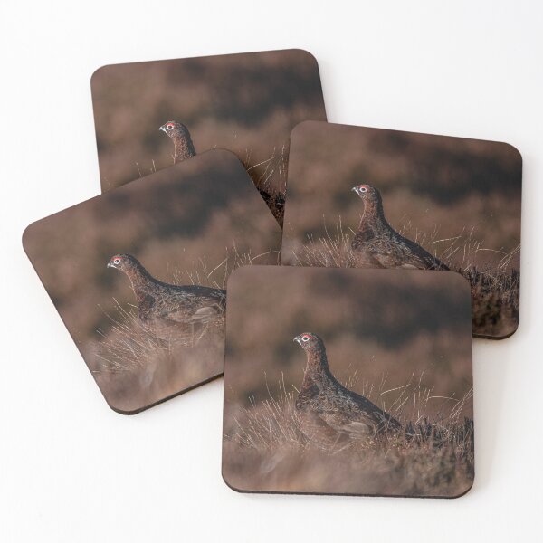 Item preview, Red Grouse  designed and sold by Flyal4.