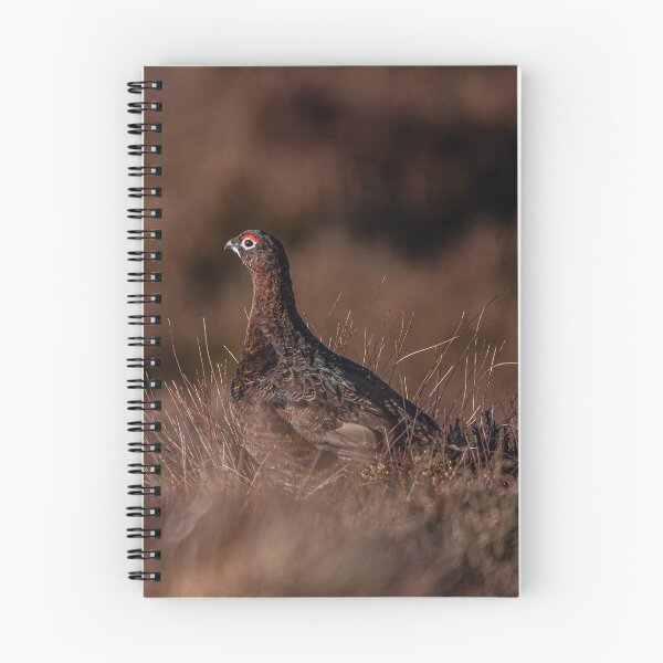 Item preview, Red Grouse  designed and sold by Flyal4.