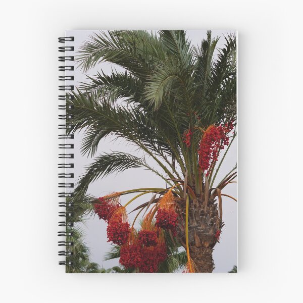 Item preview, Date palm in Fig Bay cyprus designed and sold by distracted.