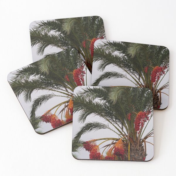 Item preview, Date palm in Fig Bay cyprus designed and sold by distracted.
